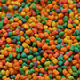 photo of Daily Select mini size bird food, multi-colored extruded morsel