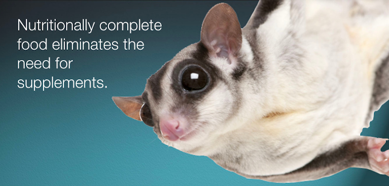Picture of a sugar glider with the message: nutritionally compete food eliminates the need for supplements.
