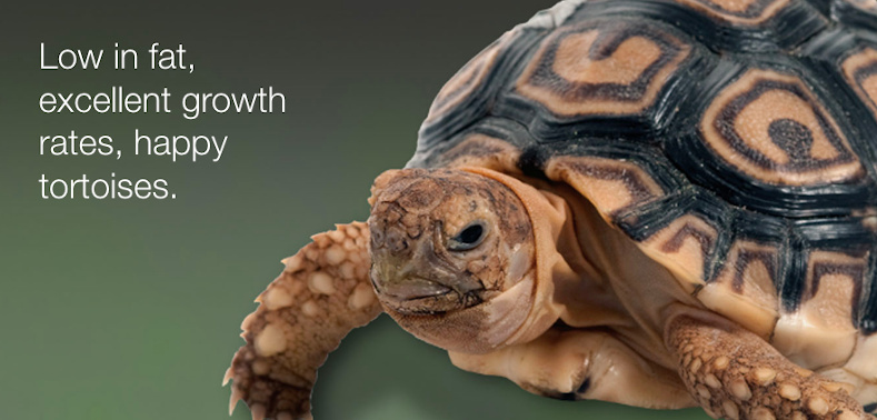 Picture of an tortoise with the message: low in fat, excellent growth rates, happy tortoises.